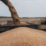 Україна подала до СОТ позови проти Польщі, Словаччини та Угорщини через заборону на імпорт зерна