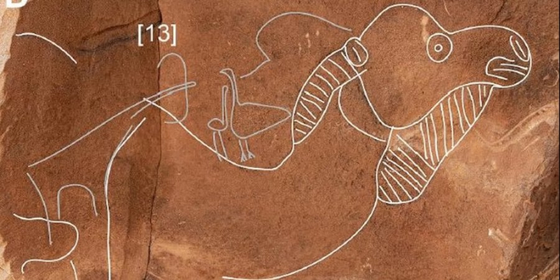 Автор невідомий. У Саудівській Аравії знайдено загадкові стародавні зображення верблюдів у натуральну величину
